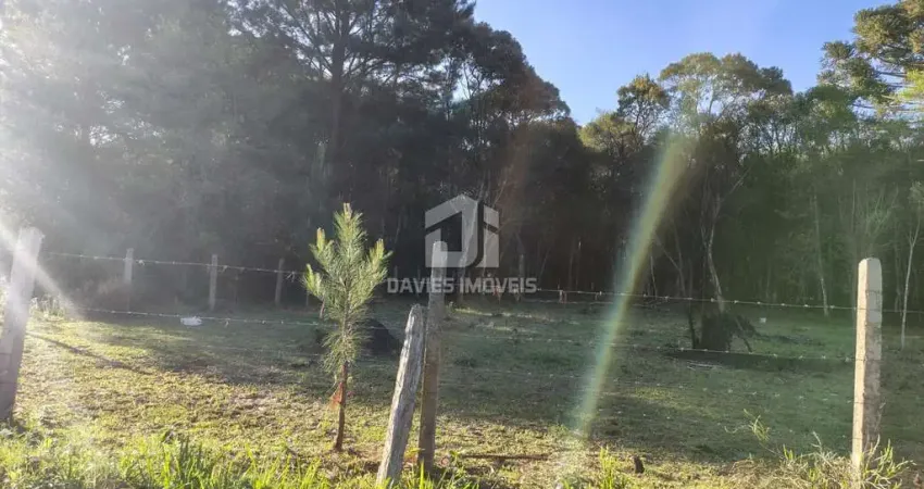 Chácara / sítio à venda na Avenida São Paulo, 500, Jardim dos Estados 1, Piraquara