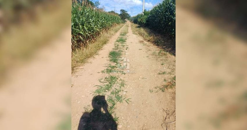 Chácara / sítio com 3 quartos à venda na Zona Rural, Contenda 