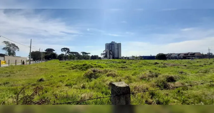 Terreno comercial à venda na Rua Wanda dos Santos Mallmann, Estância Pinhais, Pinhais