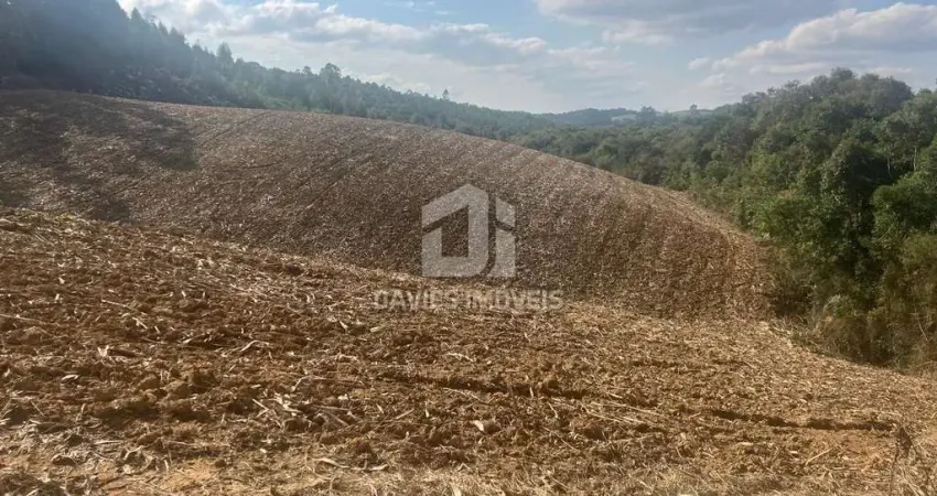 Chácara / sítio à venda na Estrada do Lambari, Doce Fino, Quitandinha