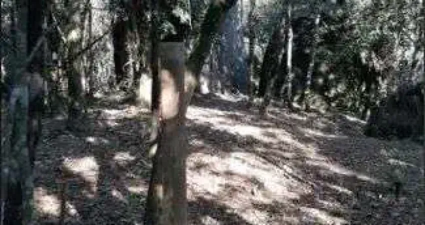 Terreno à venda no Laranjeiras, Caieiras 