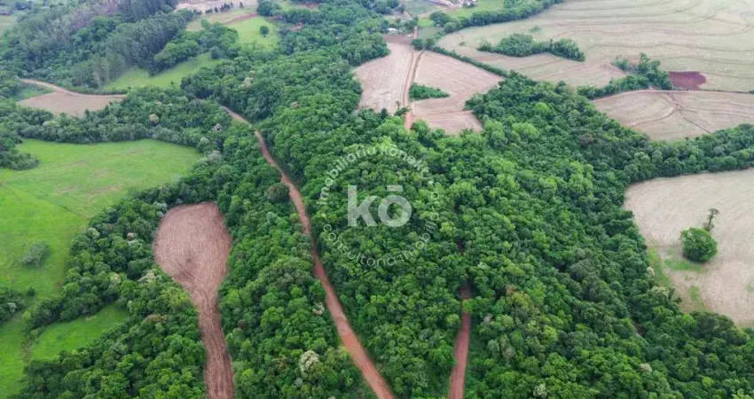 Chácara / sítio à venda no Rio Do Salto, Cascavel 