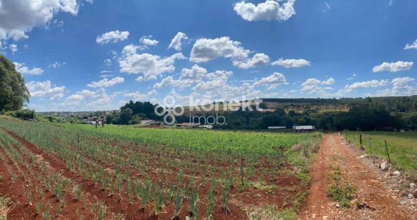 Chácara / sítio à venda no Floresta, Cascavel 