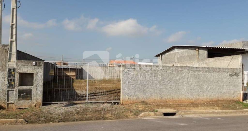 Terreno quitado em Ilhota  possibilidade de troca com casa pronta Itajaí