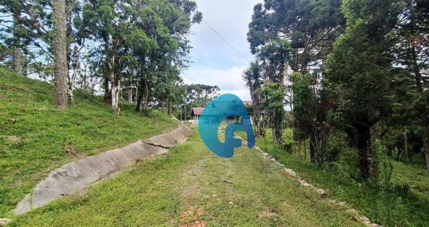 Chácara com 3 dormitórios à venda, 79358 m² por R$ 850.000,00 - Campo Alto - Tijucas do Sul/PR