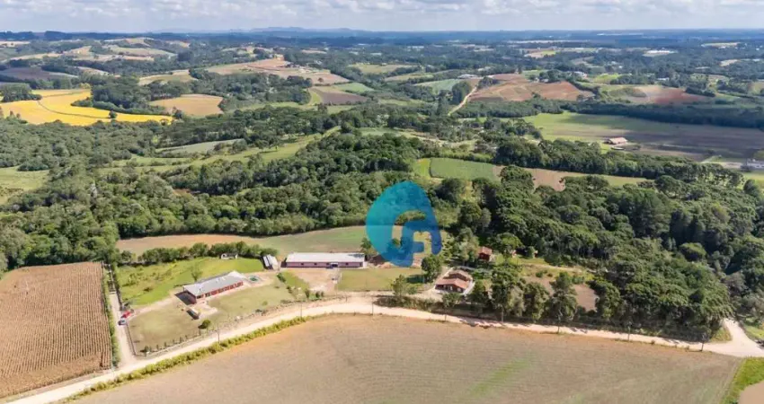 Chácara com 7 dormitórios à venda, 31000 m² por R$ 2.300.000,00 - Avencal - São José dos Pinhais/PR