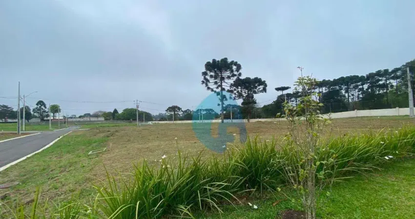 Terreno à venda, 250 m² por r$ 325.000,00 - planta são tiago - piraquara/pr