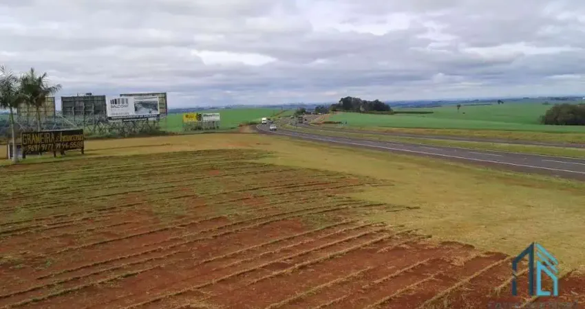 Terreno 92mil m², entre a Cidade de Rolândia e Arapongas, Rodovia 986 km 8 contorno sul de Rolândia PR