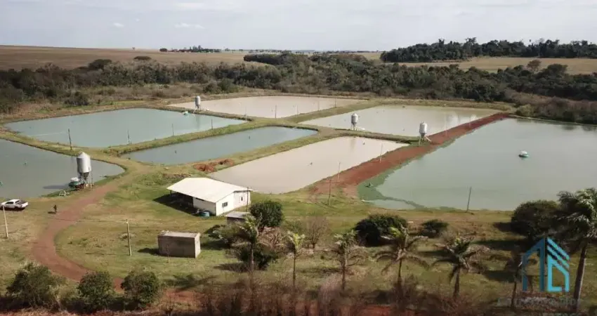 Sítio produtivo de 5 alqueires, 7 tanques, em são miguel do iguaçu pr