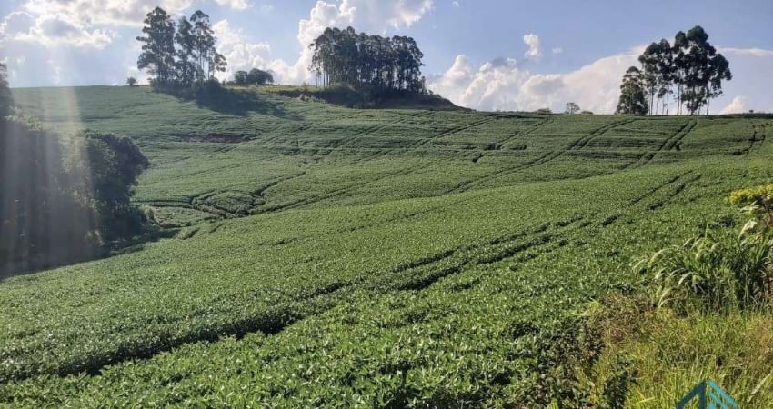 Sítio com 121.000 mil m² a venda, com Infra estrutura, no IRETEMA /Campo Mourão PR