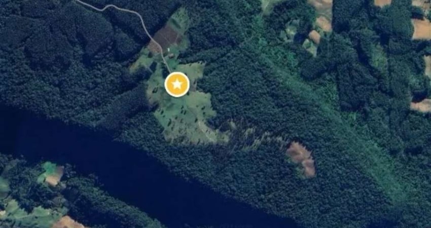 Fazenda com 120 hectares, para investimentos, pronta para plantio em DONA EMMA -SC