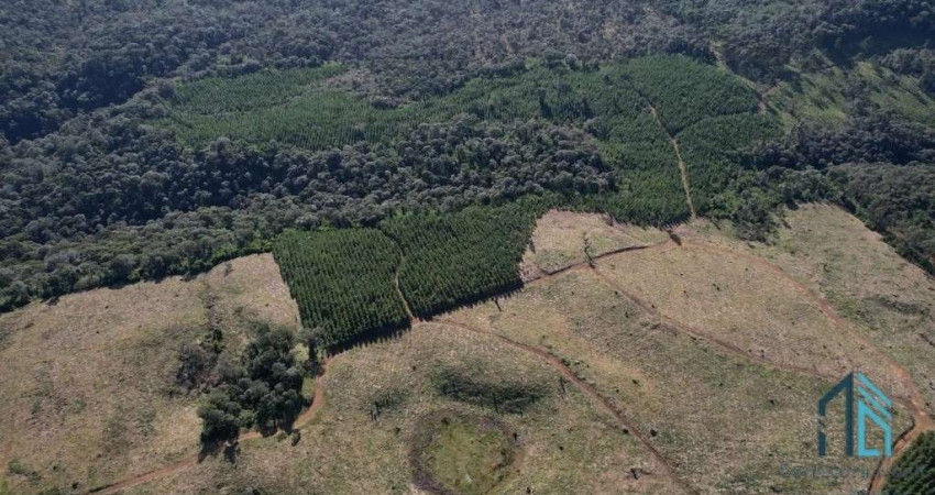 Terreno localização privilegiada, próxima à cidade e com potencial General Carneiro PR