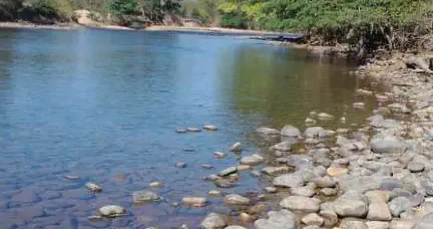 Fazenda a venda oportunidade única em niquelândia goiás- go
