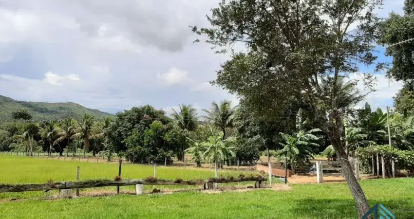 Fazenda linda 39 alqueires, com casa peão e casa sede, Município de Mossamedes GO