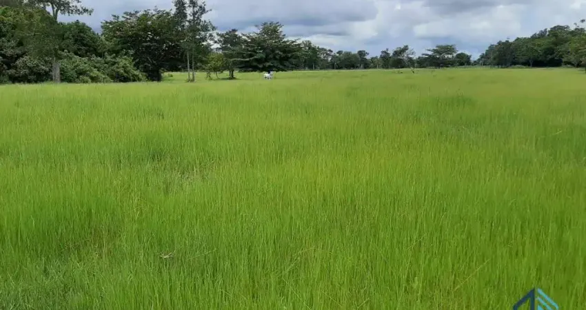 Fazenda linda 39 alqueires, com casa peão e casa sede, município de mossamedes go
