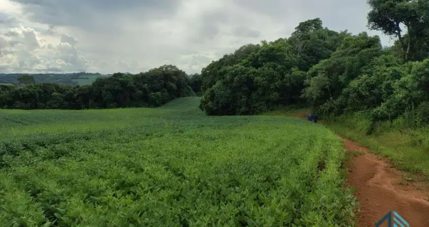 Terreno com 9,2 Alqueires, área verde ideal para plantio ou construção, em Campo Largo PR