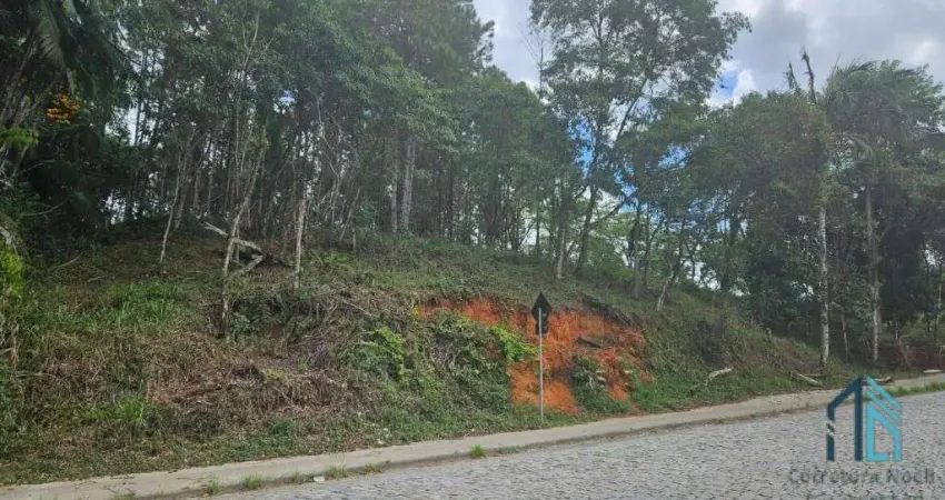 Terreno de Esquina  a venda - Zona Industrial 7872 m2 em Blumenau SC