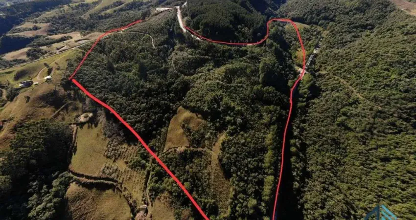 Terreno com 210.942,00m2, ideal para construção, são leonardo, município de alfredo wagner -sc