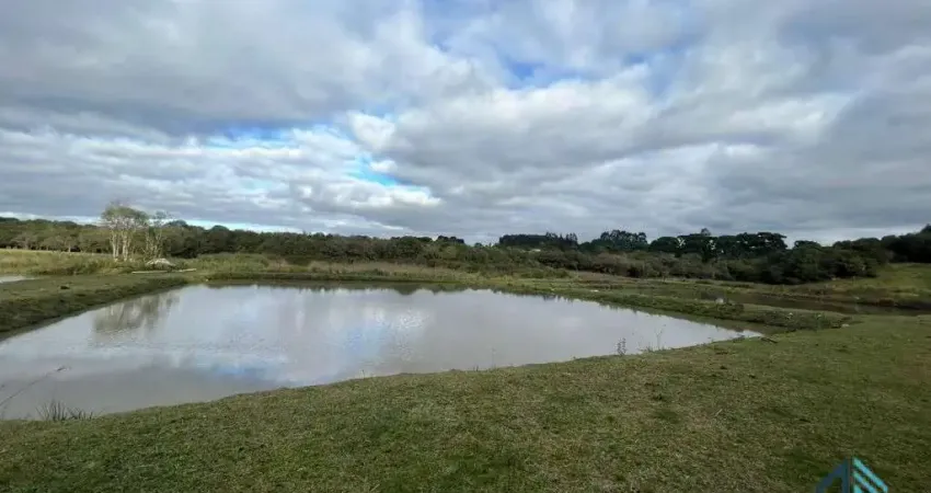 Chácara à venda na fazenda rio grande - próximo a mandirituba -pr