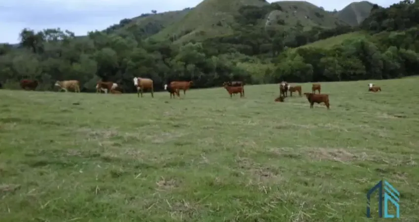 Fazenda 804 hectares a venda, oportunidade de negócio, santana do boa vista - caçapava do sul - rs