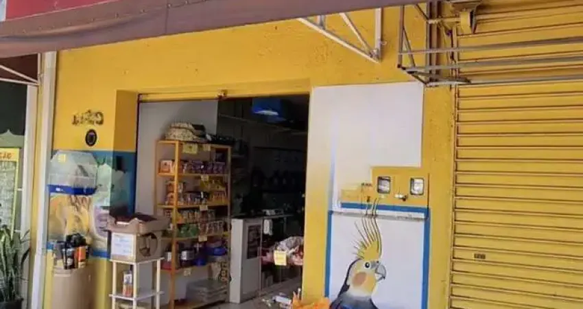 Ponto comercial a venda pet shop no bacacheri em curitiba - pr