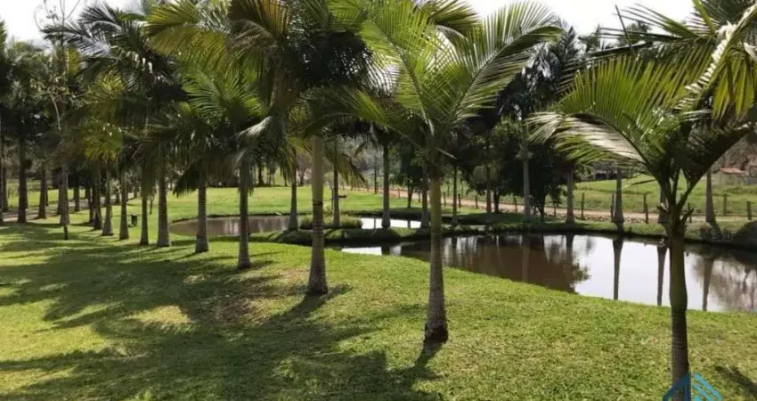 SÍTIO com internet, 6 lagoas p/peixes, posso Artesiano, piscina, Salão de Festas em CAMBORIÚ - SC