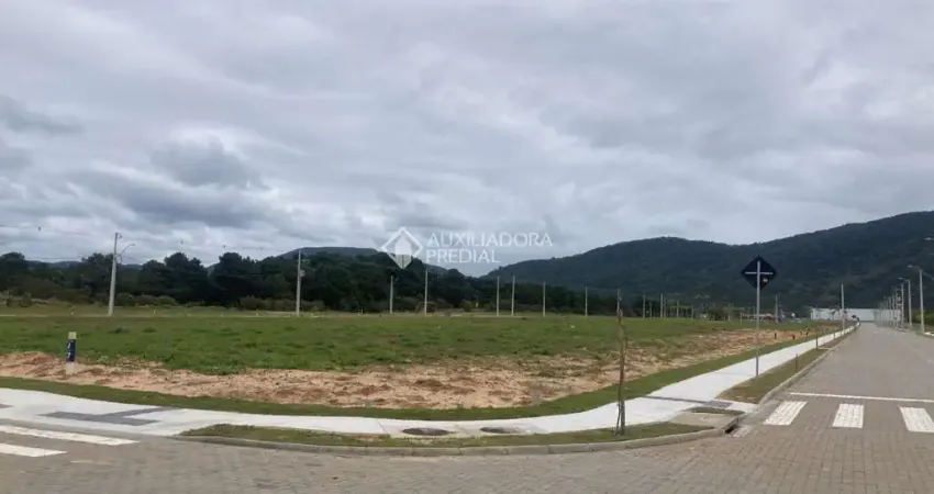 Terreno à venda na Rodovia João Gualberto Soares, 01, São João do Rio Vermelho, Florianópolis