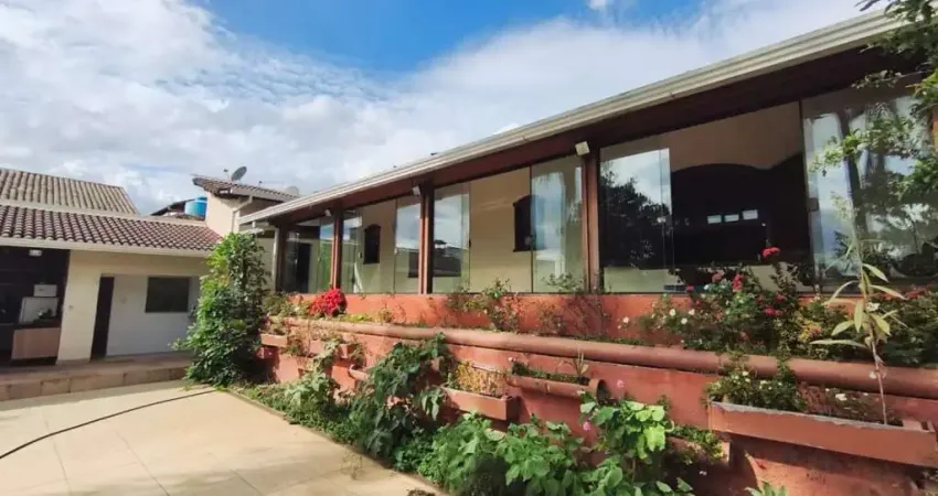 Casa com 8 quartos para alugar na Santa Amélia, Belo Horizonte 