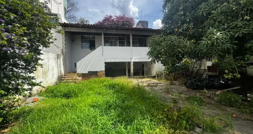 Casa com 3 quartos para alugar na Santa Amélia, Belo Horizonte