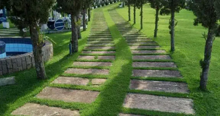 Fazenda / Sítios / Chácaras com 5 quartos à venda em Divinópolis