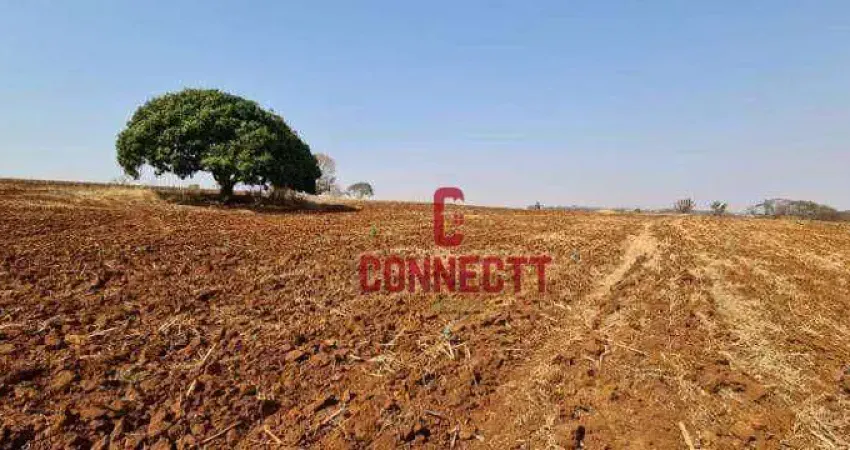 Sítio com 1 dormitório à venda, 78704 m² por R$ 6.785.000,00 - Zona Rural - Brodowski/SP
