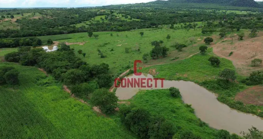 Fazenda com 217 hectares à venda, 2170000 m² por R$ 5.425.000 - Zona Rural - João Pinheiro/MG
