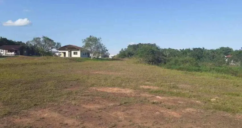 Terreno à venda na Corticeira, Guaramirim 