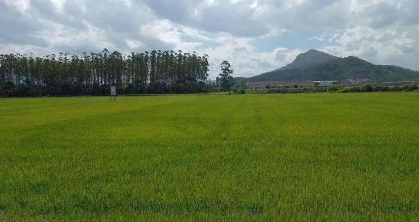 Terreno à venda na Escolinha, Guaramirim