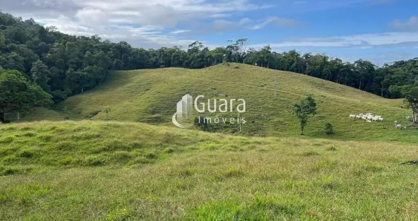 Chácara / sítio à venda na Mato Grosso, 650, Amizade, Guaramirim