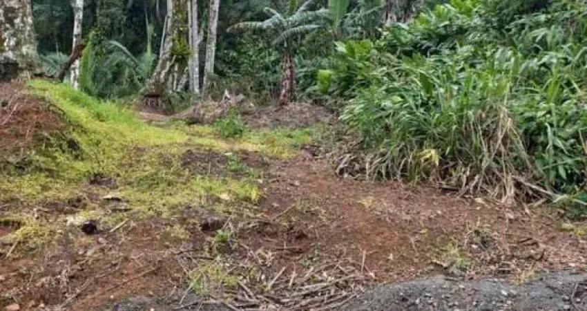 Casa com 1 quarto à venda na Lado impar da João Sotter Correa, sn, Amizade, Guaramirim
