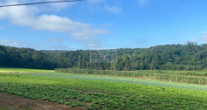 Terreno na cidade de Suzano São Paulo com a 194.153,97 m²