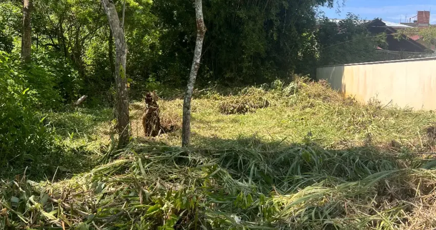 Terreno à venda na Rua José Araújo, 200, Praia do Estaleiro, Balneário Camboriú
