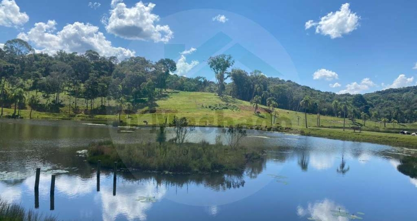 Chácara / sítio à venda na Estrada Do Guapiara, s/n, Zona Rural, Mandirituba