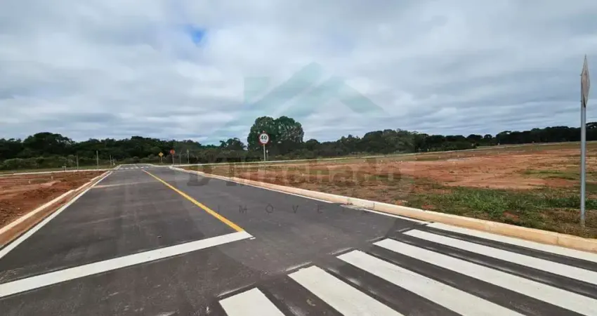 Terreno para Venda em Fazenda Rio Grande, Gralha Azul