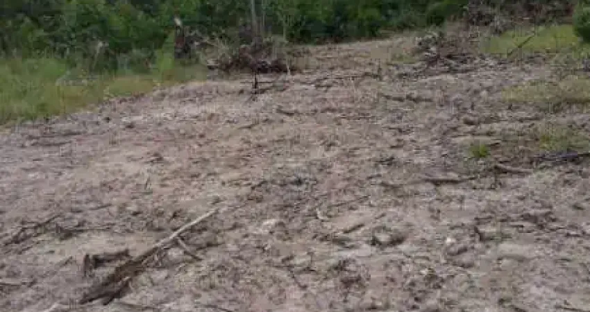 Terreno para alugar, 550 m² por r$ 500,01/mês - aberta dos morros - porto alegre/rs