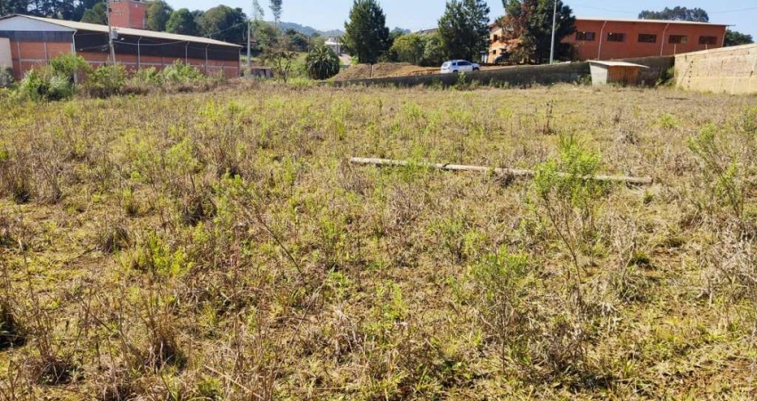 Terreno à venda na Rua Antônio Zipperer, Centenário, São Bento do Sul