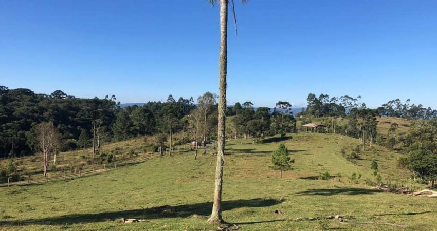 Terreno à venda na Estrada Sertãozinho, Serra Alta, São Bento do Sul