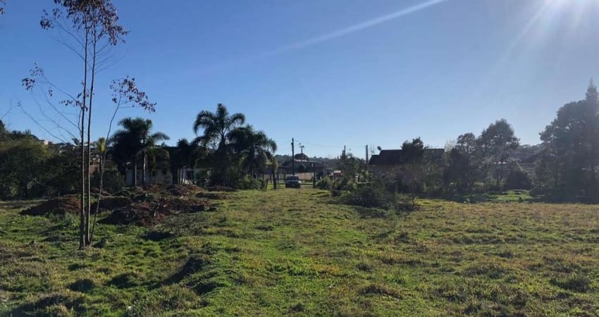 Terreno à venda na Rua Mathias Nossol, Serra Alta, São Bento do Sul