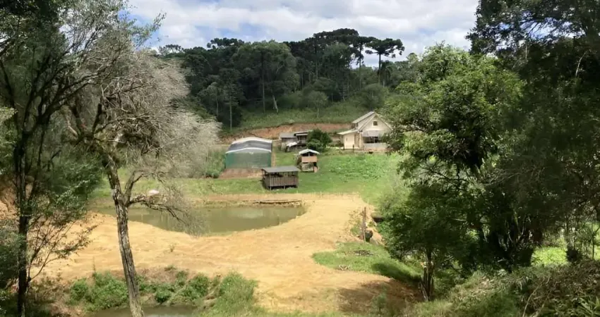 Chácara para Venda em São Bento do Sul, Lençol, 3 dormitórios, 1 banheiro, 1 vaga
