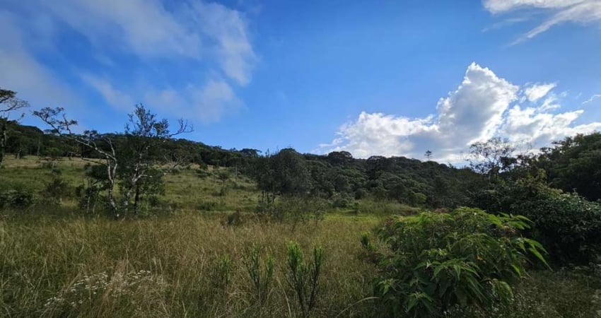 Terreno à venda na Rua Rio dos Bugres, São Miguel, Campo Alegre