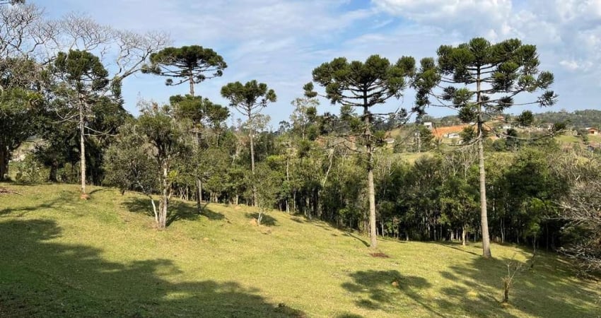Terreno para Venda em São Bento do Sul, Rio Vermelho Estação