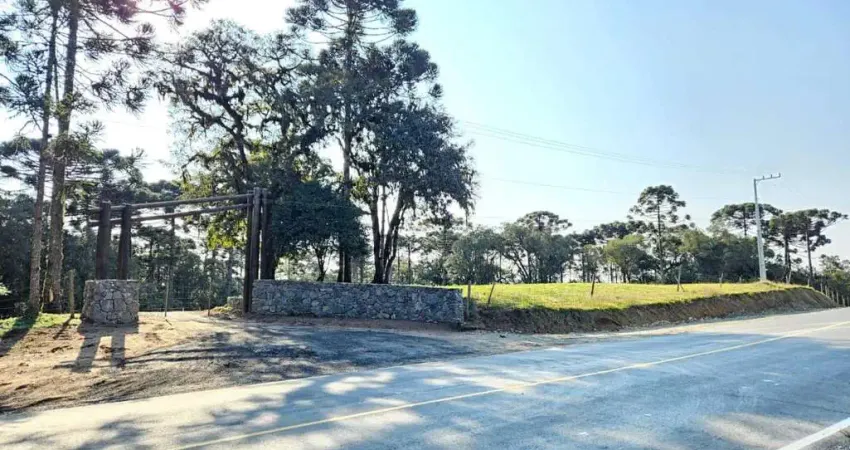 Terreno para Venda em Campo Alegre, Bateias de Baixo