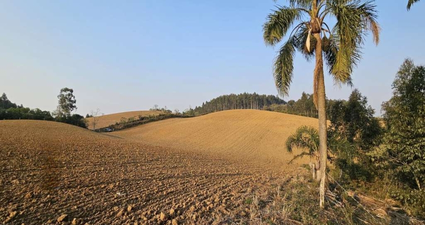 Terreno para Venda em Campo Alegre, Bateias de Cima