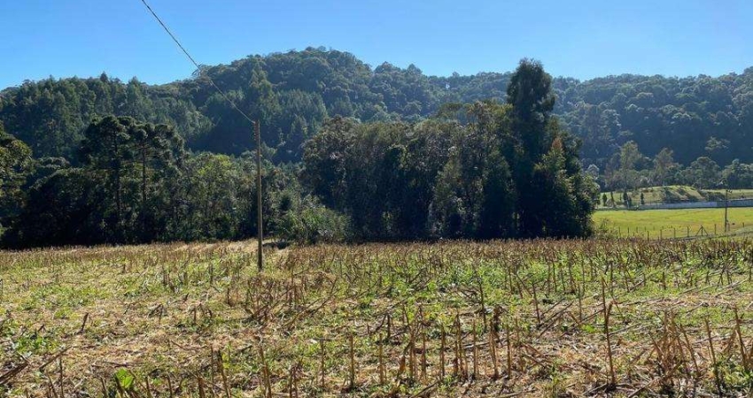 Terreno à venda na Estrada Alberto Torres, Centenário, São Bento do Sul